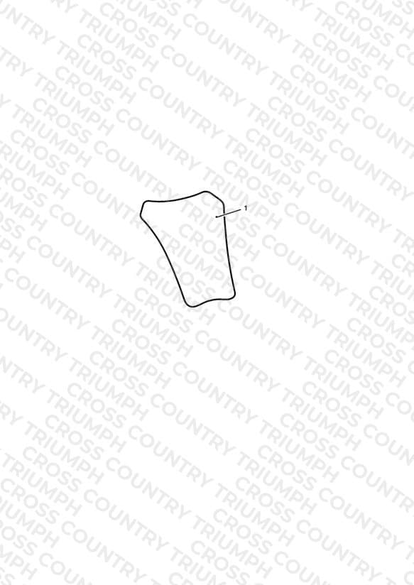 Tank Pad, Carbon