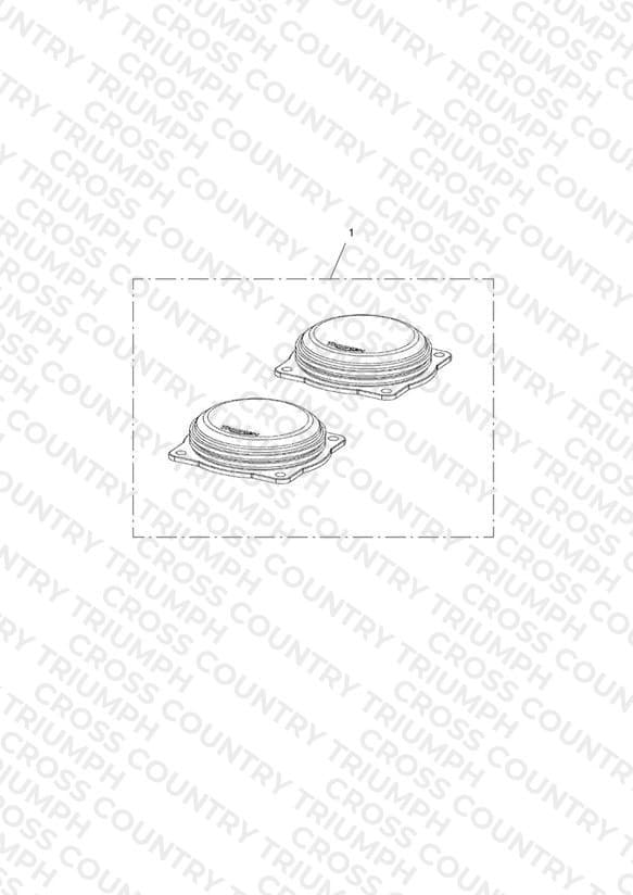 Throttle Body Cap