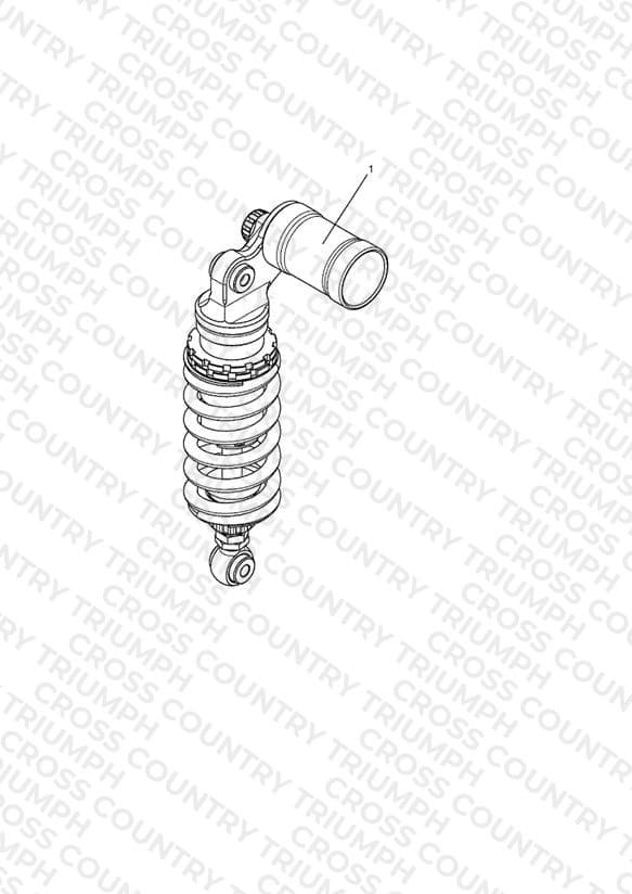RSU, Ohlins, Type 1