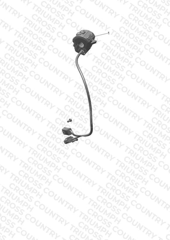 Cruise Control Kit, DRL