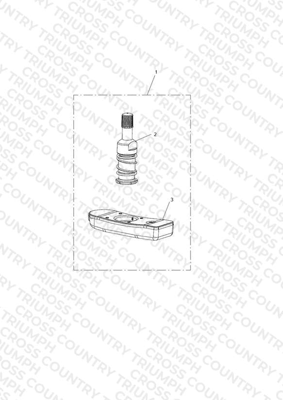 TPMS, Japan & Hong Kong