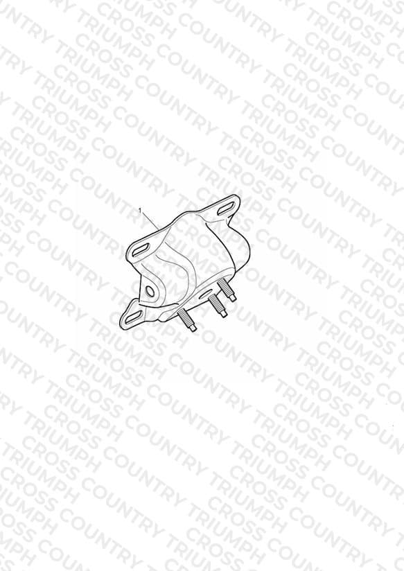 Number Plate Bracket, Chrome
