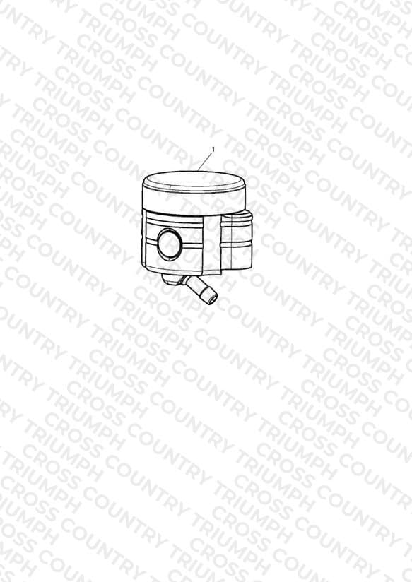 Front Brake Reservoir, Type 2