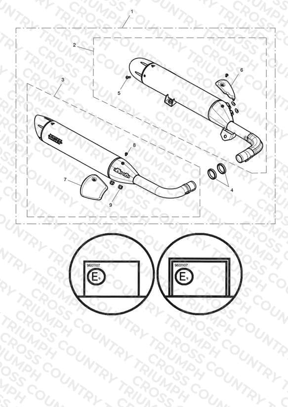 Silencer Pair, Homol, Brushed