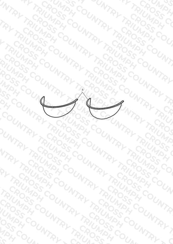 Auxiliary Lamp Visor Kit