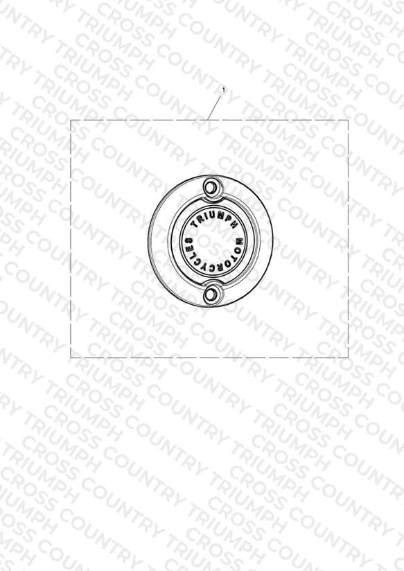 ACG Badge, Dark