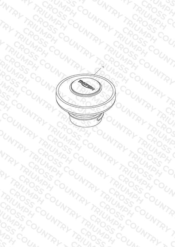 Filler Cap, Fuel, Locking