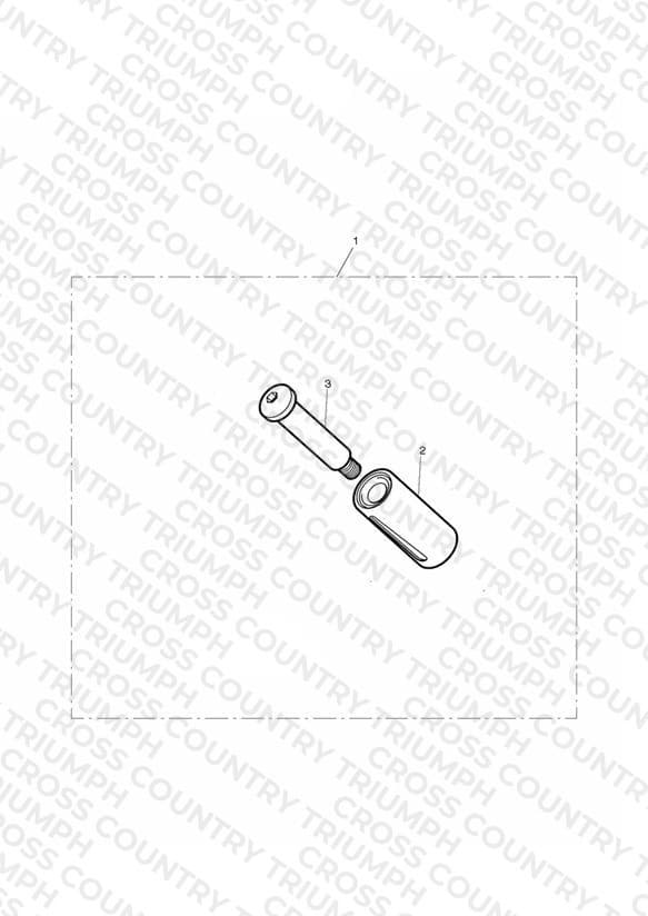 ’Chrome Line’ Shifter Peg